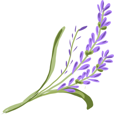 Bunga Lavender Flower Plant